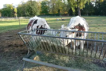Ferme de Paris