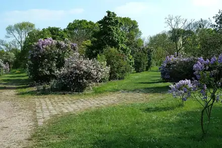 Arboretum de Paris