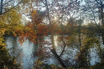 Parc départemental de L'Île-Saint-Denis