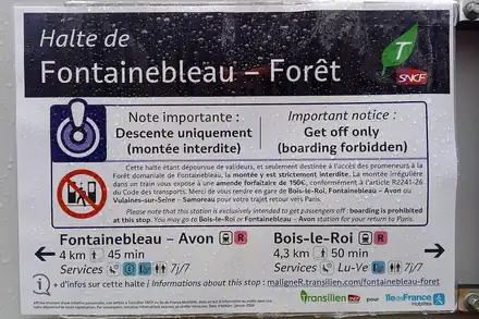 Forêt de Fontainebleau