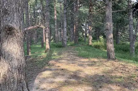 Parc du Marquenterre