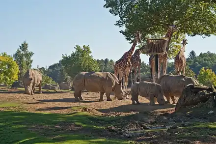 ZooParc de Beauval