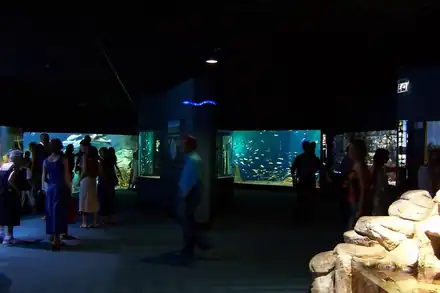Aquarium de La Rochelle