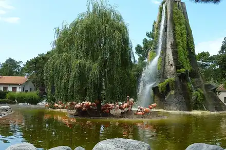 Zoo de La Palmyre