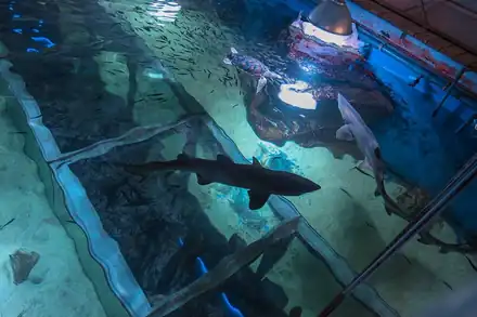 Seaquarium