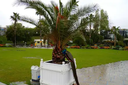 Parc Phoenix