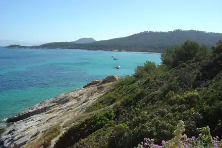 Île de Porquerolles